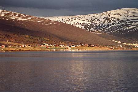 Hurtigruten : l'express côtier