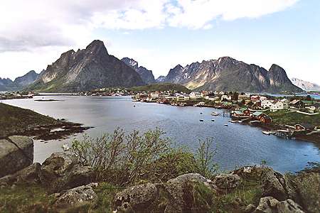 Reine